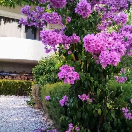 With A Parking Space - 22490 Appartement *